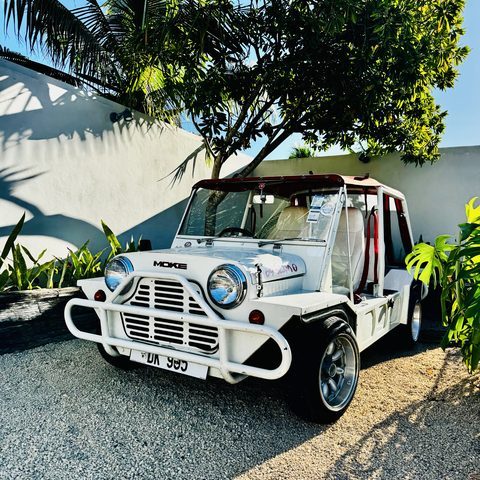The Moke